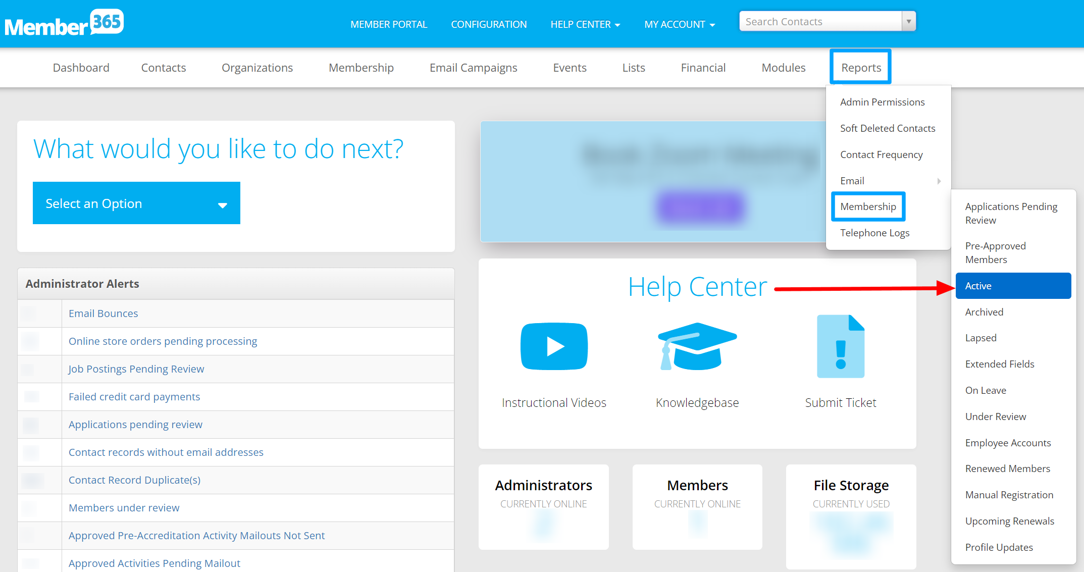 Reports Membership Active.png